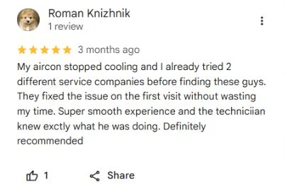 English Google Maps review from Roman Knizhnik